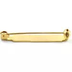 Safety Pin